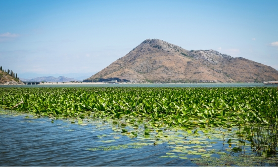 巴爾幹半島_史卡達國家公園_蒙特內哥羅
