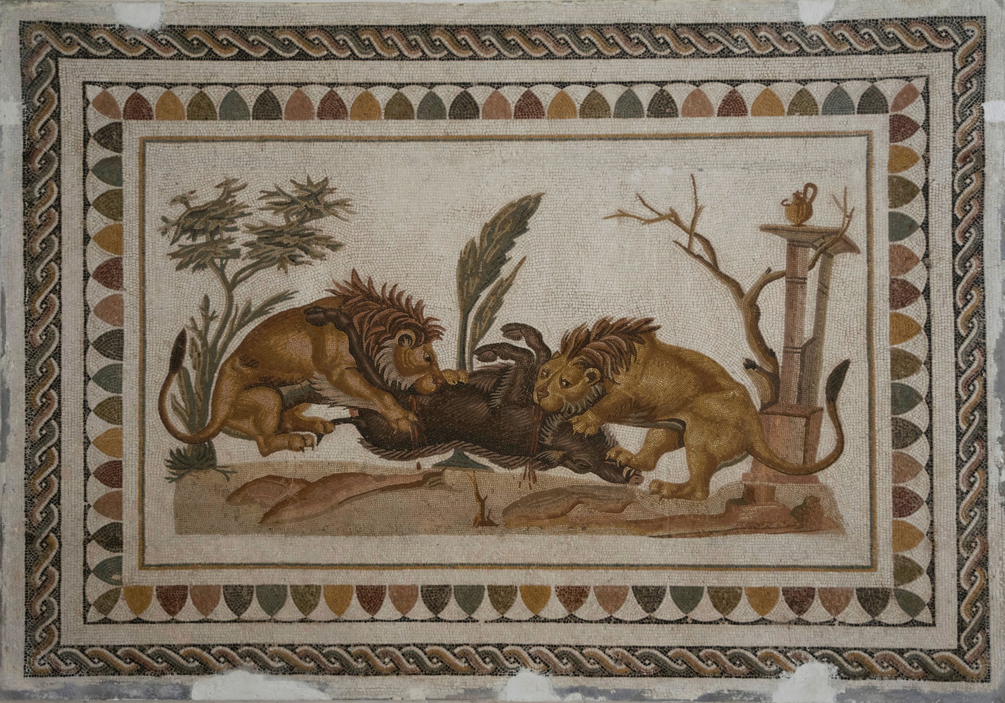 圖尼西亞_羅馬遺跡_3