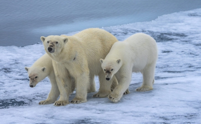<span> 2/24</span> 14:00 北極圈系列｜西北航道搶先看｜台北場