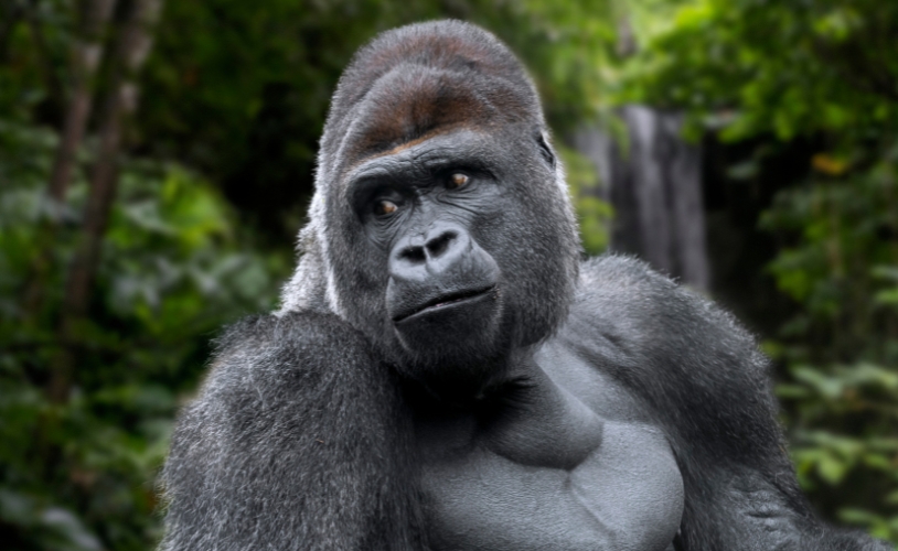 <span>1/6</span>14:00 非洲系列講座｜台北場