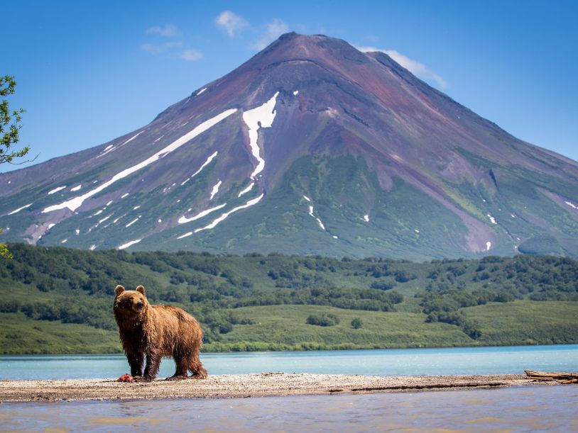 旅遊_俄羅斯_蒙古_棕熊_火山_西伯利亞鐵路_奧立洪島_堪察加半島