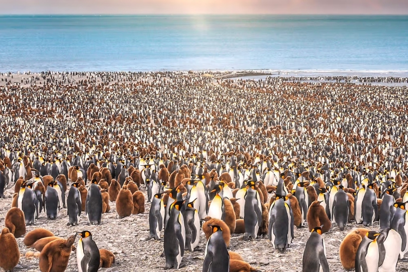 銀海號_南極三島